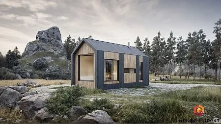 Проект каркасного "Барнхаус" с баней, 42м2, 4.4х8.9 м