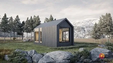 Проект каркасного "Барнхаус" с баней, 42м2, 4.4х8.9 м